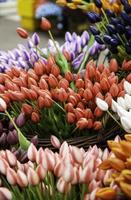 tulipas em um mercado foto