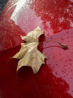 folha de outono no corpo de um carro vermelho foto