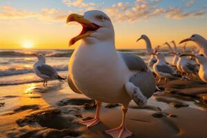 uma grupo do gaivotas em uma de praia às pôr do sol generativo ai foto