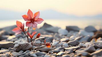 uma vermelho flor crescendo Fora do a terra em uma rochoso de praia generativo ai foto