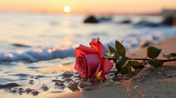 uma rosa em a de praia às pôr do sol generativo ai foto