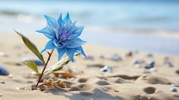 uma solteiro azul flor em uma arenoso de praia generativo ai foto