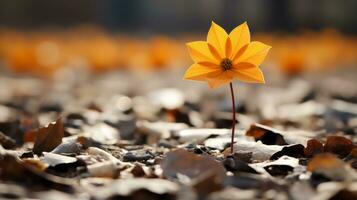 uma solteiro amarelo flor é em pé Fora dentro a meio do folhas generativo ai foto