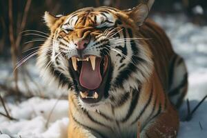 uma tigre com Está boca aberto dentro a neve generativo ai foto