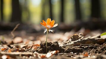 a laranja flor é crescendo Fora do a terra dentro uma floresta generativo ai foto