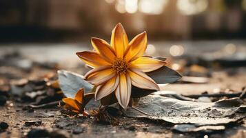 a laranja flor senta em a terra dentro a Sol generativo ai foto