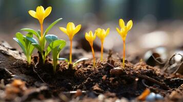 pequeno amarelo flores brotar a partir de a terra dentro a floresta generativo ai foto