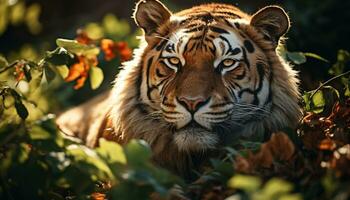 Bengala tigre olhando fixamente, se escondendo dentro floresta, selvagem beleza capturado gerado de ai foto