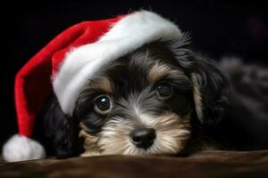 fofa cachorro com santa claus chapéu, Natal feriado conceito. generativo ai foto