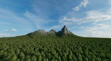 a em forma afiada montanha é cercado de uma denso floresta do exuberante árvores com uma pano de fundo do a céu e nuvens. 3d Renderização. foto