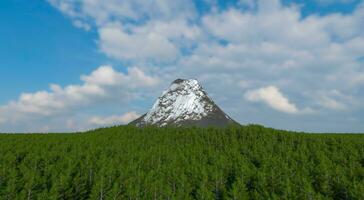 a em forma afiada neve montanha é cercado de uma denso floresta do exuberante árvores com uma pano de fundo do a céu e nuvens. 3d Renderização. foto