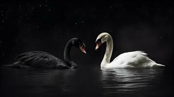 Preto e branco cisnes em a lago dentro a noite foto