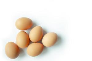 ovos de galinha marrom no fundo branco foto