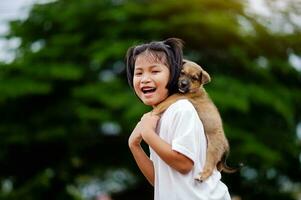 jovem menina tocam com uma pequeno cachorro alegremente interespécies amor amor do pessoas e animais de estimação foto