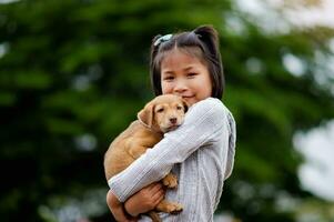 jovem menina tocam com uma pequeno cachorro alegremente interespécies amor amor do pessoas e animais de estimação foto