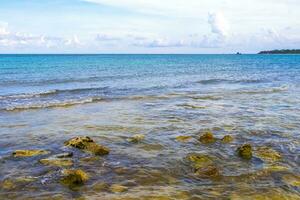 pedras rochas corais turquesa verde azul água na praia méxico. foto