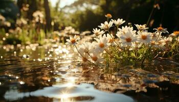 vibrante camomila Flor reflete dentro tranquilo lago, natureza beleza gerado de ai foto