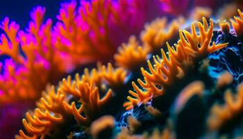 embaixo da agua macro revela multi colori mar vida padrões foto