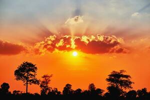 pôr do sol, nascer do sol céu manhã brilhante, lindo verão foto