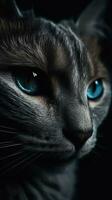 fechar-se vertical retrato do uma malhado gato com azul olhos em Preto fundo foto