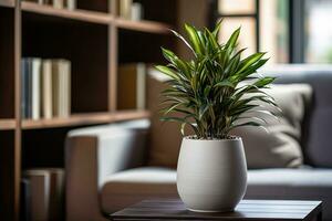 verde dracaena plantar dentro uma Panela em uma café mesa contra a pano de fundo do uma acolhedor sofá com almofadas e estantes, borrado fundo foto