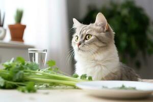 fofo doméstico gato olhando às legumes em uma prato em a cozinha mesa foto