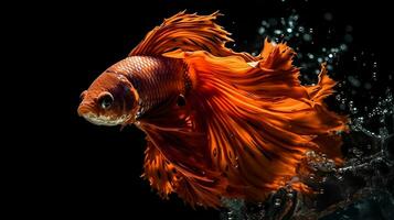 lindo vermelho siamês brigando peixe ou beta peixe com água bolha natação embaixo da agua isolado em Preto fundo. ai gerado. foto
