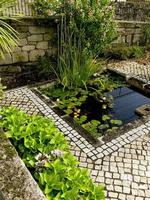 pequeno lago de pedra com plantas aquáticas, num jardim em portugal foto