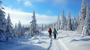 caminhada na neve. pacífico anda em através coberto de neve paisagens foto