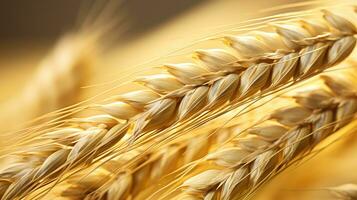 macro foto do trigo semente fundo ai generativo