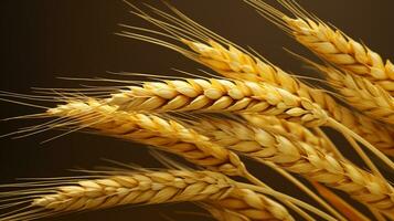 macro foto do trigo semente fundo ai generativo