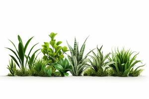 plantas e Relva em isolado branco fundo ai generativo foto