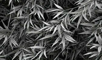 folhas dentro a noite luz texturizado papel de parede. floresta bambu dentro noite visão modo fundo. para bandeira cartão postal, livro ilustração. criada com generativo ai Ferramentas foto