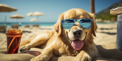 dourado retriever cachorro é em verão período de férias às beira-mar recorrer e relaxante descansar em verão de praia do Havaí. ai generativo foto