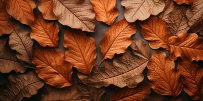 fechar-se outono seco folha texturizado papel de parede. criada com ai Ferramentas foto