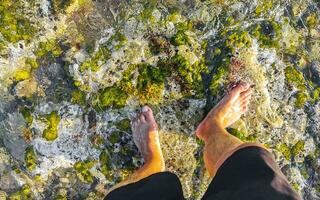 homem pés dentro água em pedras pedras corais em de praia. foto