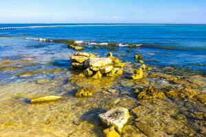 pedras rochas corais turquesa verde azul água na praia méxico. foto