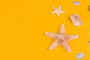 óculos e chapéu com conchas e estrelas do mar em um fundo colorido foto