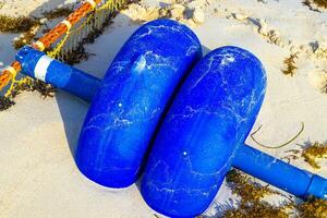 algas marinhas sargazo internet caribe de praia água playa del carmen México. foto