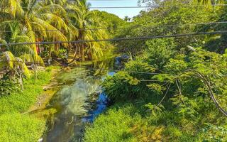 lagoa de água doce verde lindo rio tropical em puerto escondido méxico. foto