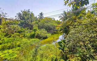 lagoa de água doce verde lindo rio tropical em puerto escondido méxico. foto