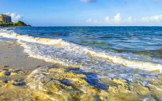 pedras rochas corais turquesa verde azul água na praia méxico. foto