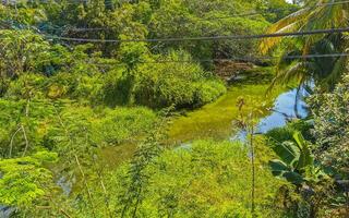 lagoa de água doce verde lindo rio tropical em puerto escondido méxico. foto