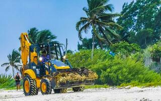 playa del carmen quintana roo México 2023 escavadora escavação dentro mar para mar erva daninha caribe de praia México. foto