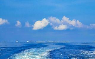 passeio de barco cancun méxico até a ilha mujeres contoy tubarão-baleia. foto