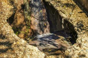 aberto sistema de esgoto sistema dentro a tropical selva montanhas México. foto