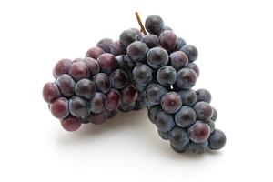 uvas pretas frescas isoladas no fundo branco foto