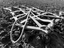 campo arado para batata em solo marrom em campo aberto foto