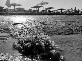 bela vista do mar no mar azul ao ar livre com areia amarela foto