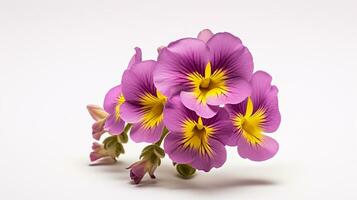 foto do lindo nemesia flor isolado em branco fundo. generativo ai